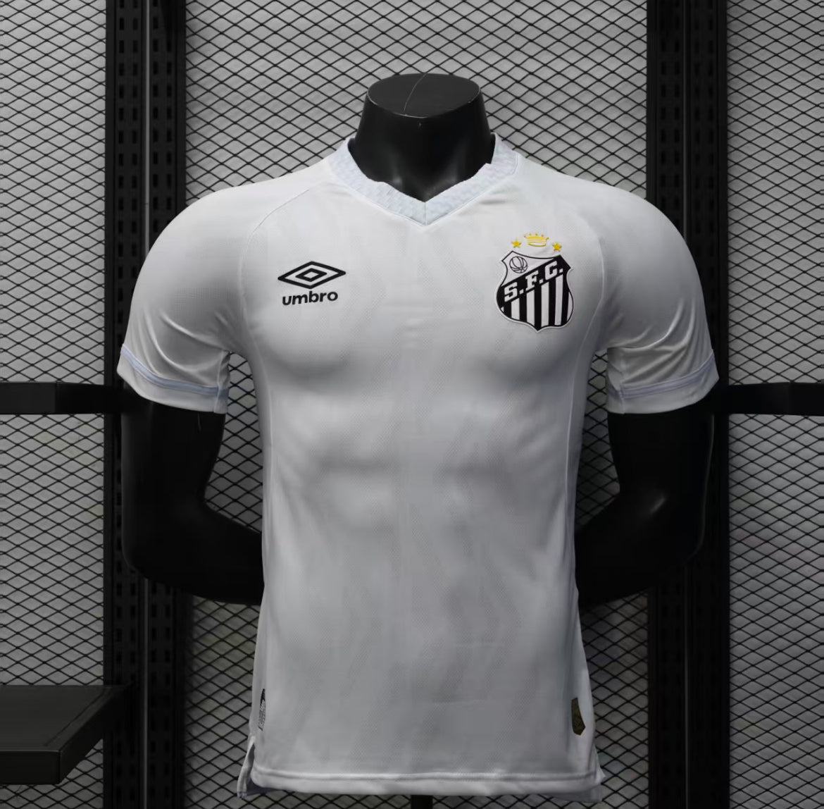 2025-26 Santos Home Kit