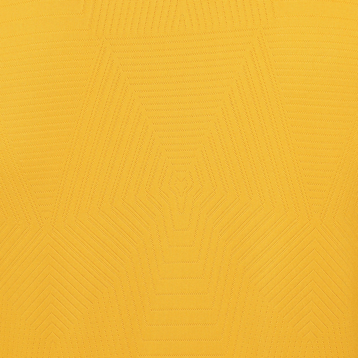 2024-25 Wolverhampton Wanderers FC Home Kit
