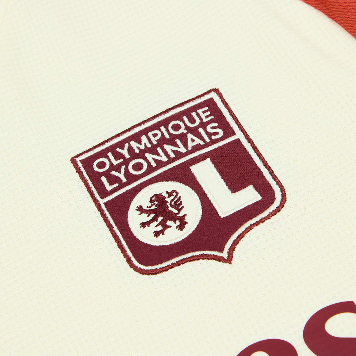 2024-25 Olympique Lyonnais Third Kit