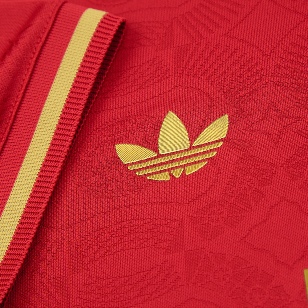 2024-25 FC Bayern München 125th Anniversary Special Edition Kit