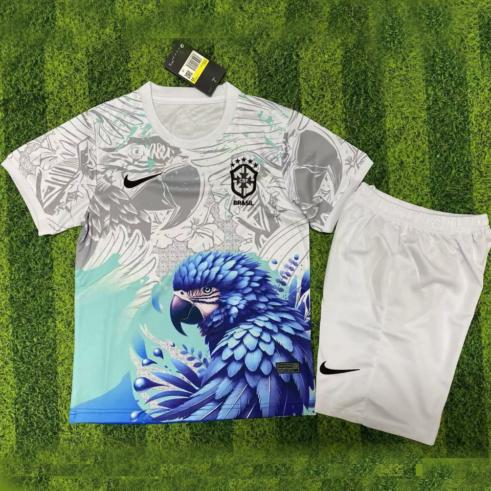 2025/26 Brazil Special Children's National Teams