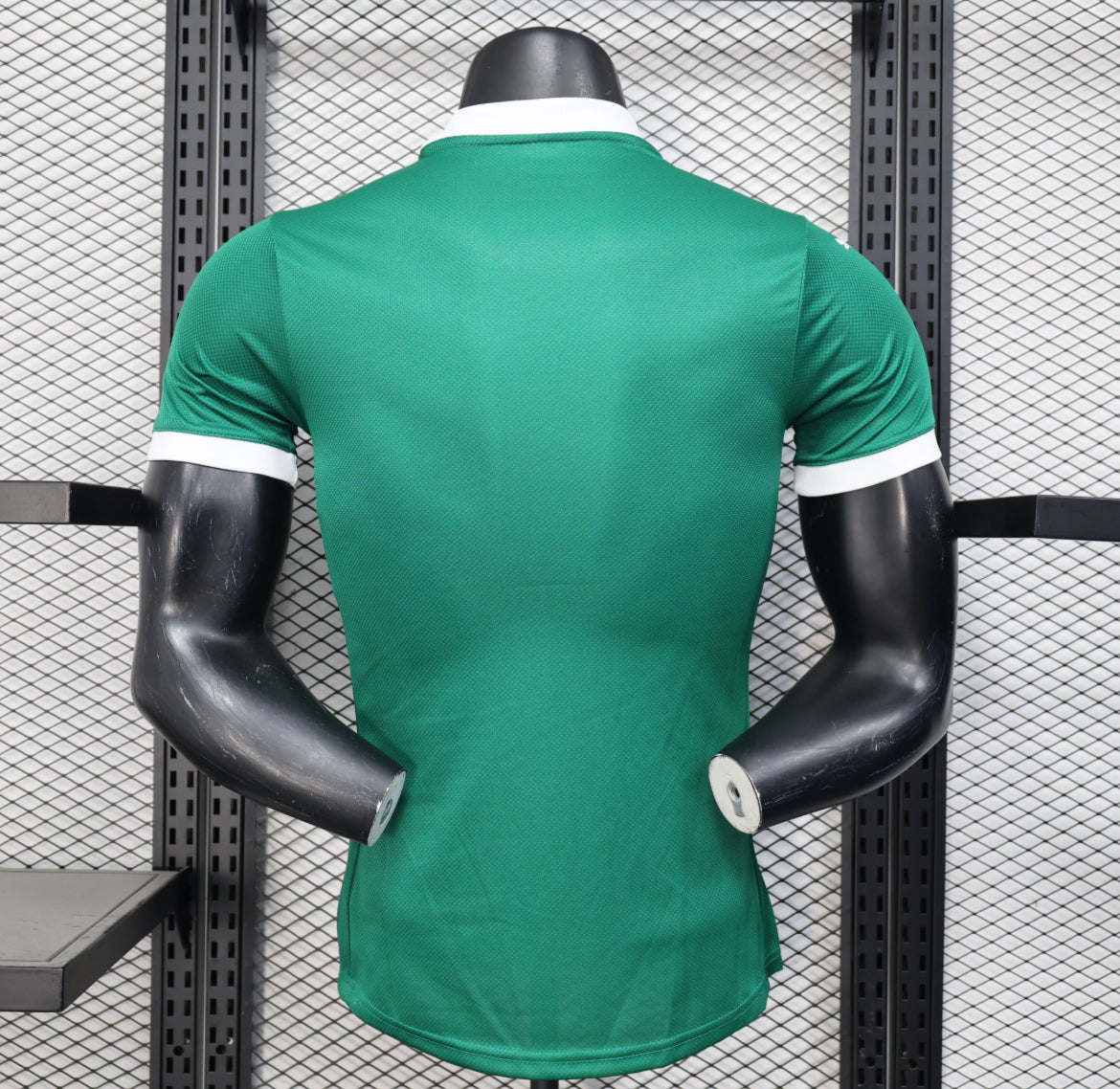 2025-26 Palmeiras Home Kit