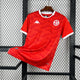 2026 Tunisia Home Kit