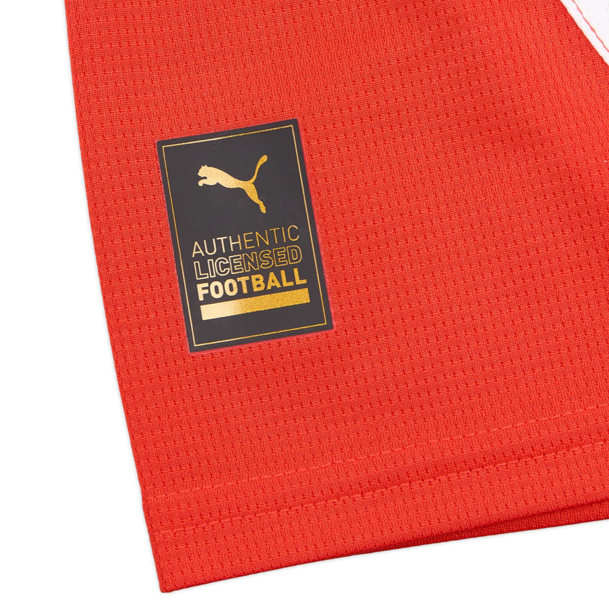 2024-25 Girona FC Home Kit