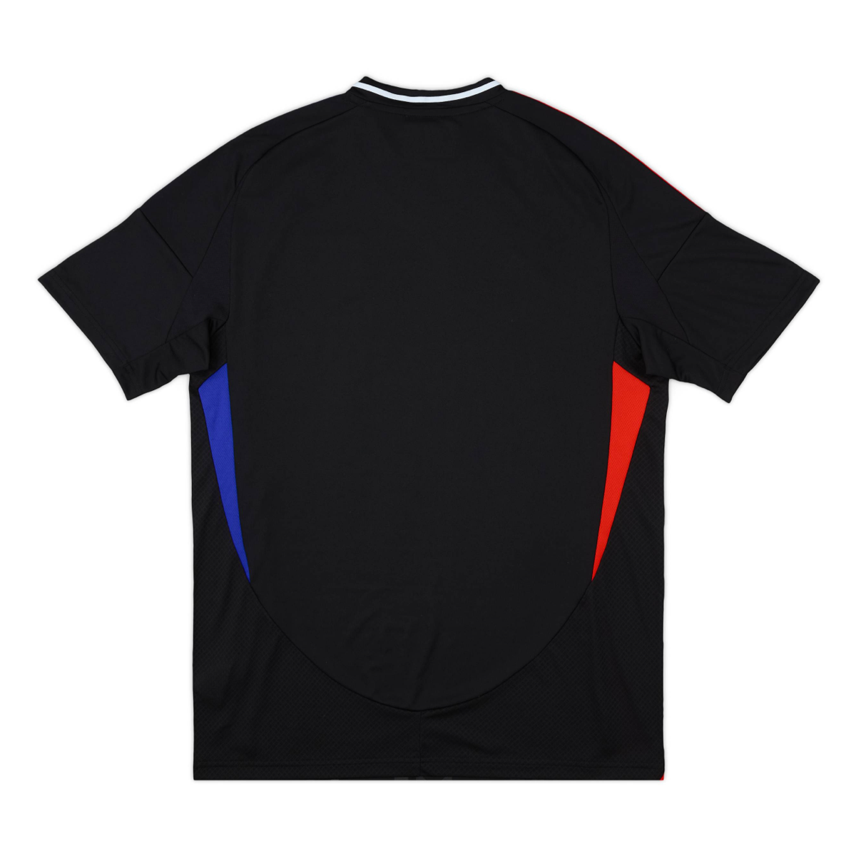 2024-25 Olympique Lyonnais Away Kit