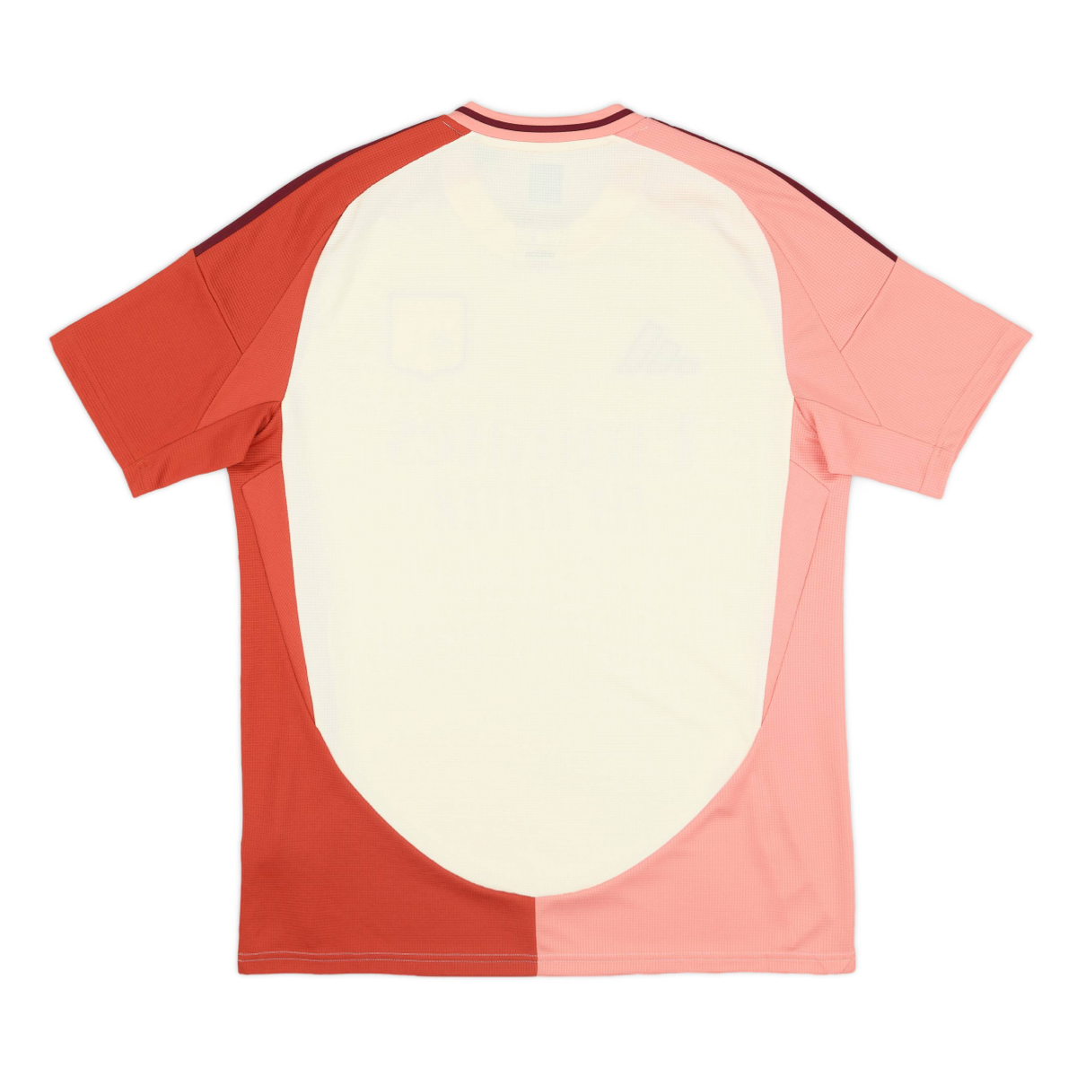 2024-25 Olympique Lyonnais Third Kit