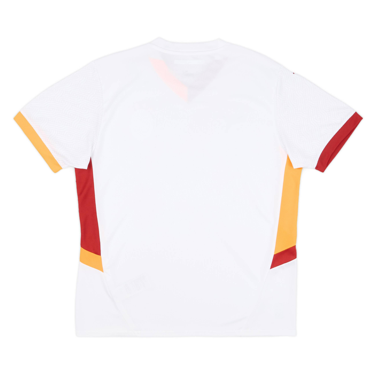 2024-25 Galatasaray SK Away Kit