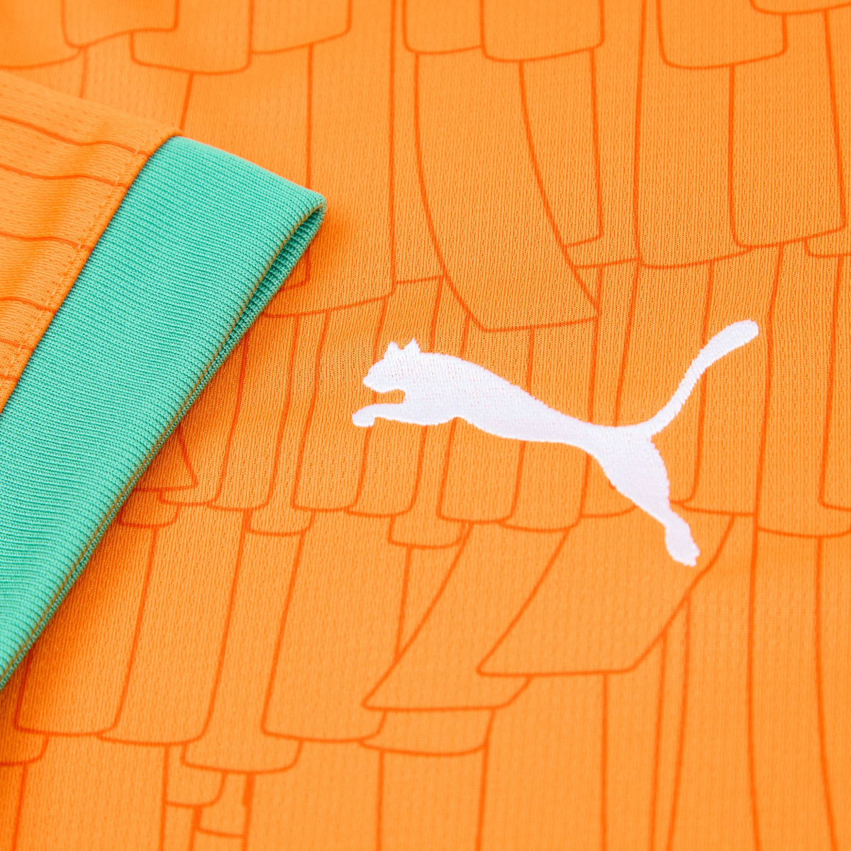 2025 Ivory Coast Home Kit