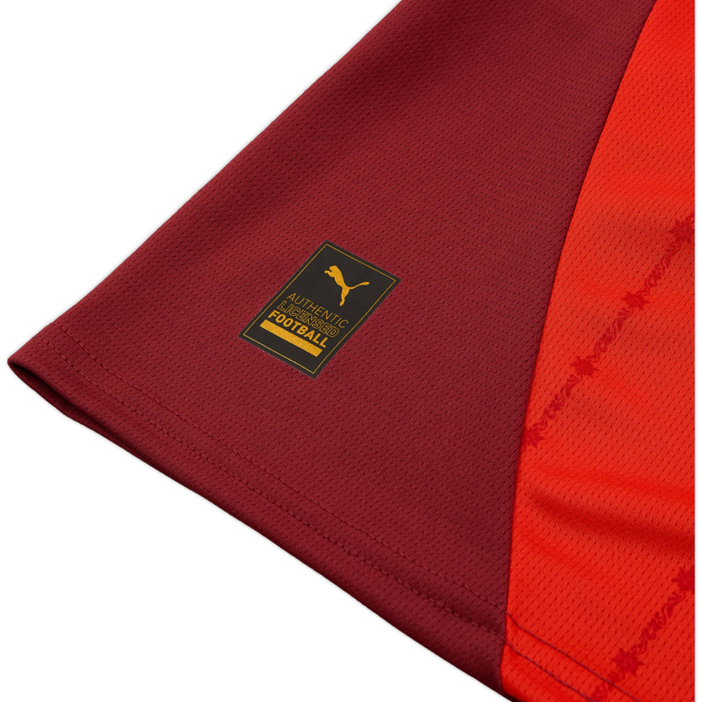 2025 Switzerland Home Kit