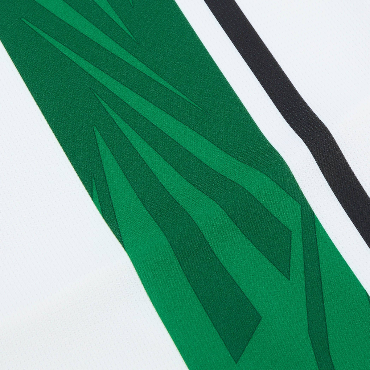 2024-25 Borussia Mönchengladbach Home Kit