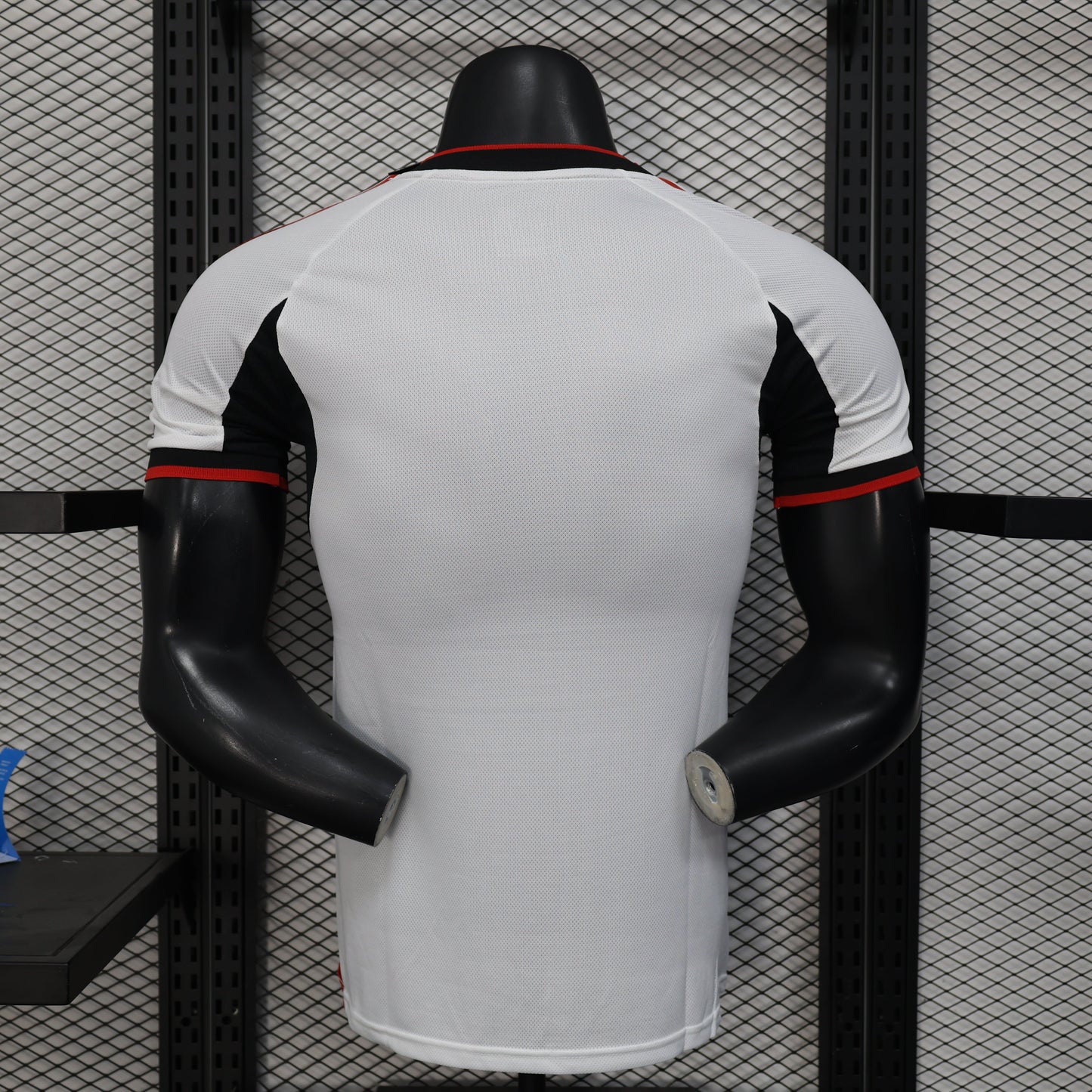 Japan Mount Fuji Special Edition Kit